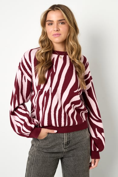 Pulls tricotés à rayures zébrées Vêtements décontractés automne/hiver h5 Image7